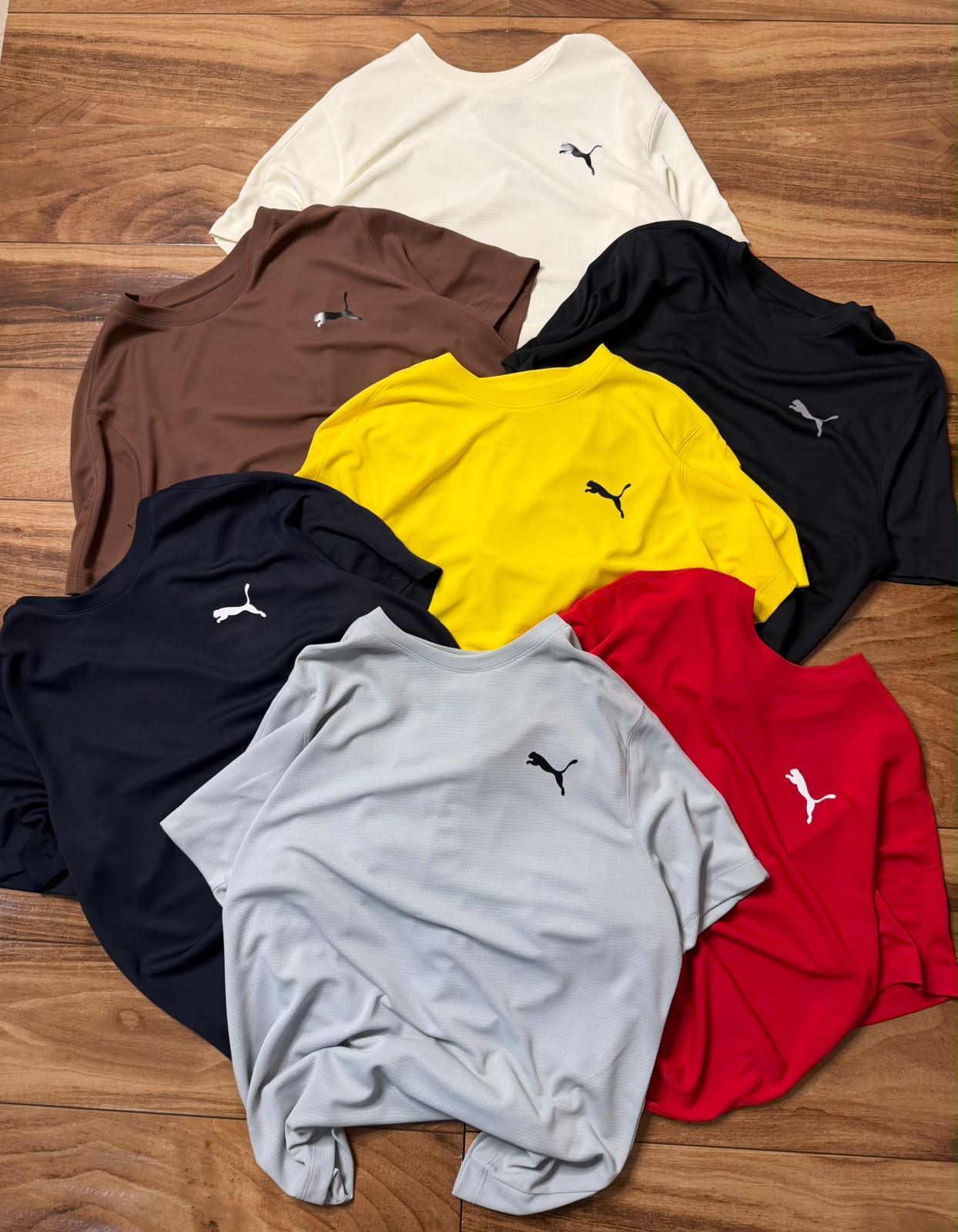 puma dry fit tshirt in half sleeve puma dry fit tshirt in half sleeve